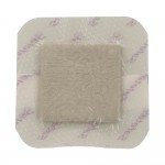 Mepilex Ag Border Foam Dressing