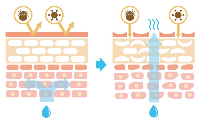 Sectional view of the skin.Comparison illustration of protection effect between healthy skin and wounded skin.